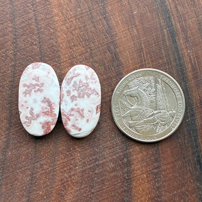 Rosetta Jasper - Cabochon Pair - Oval - Teardrop