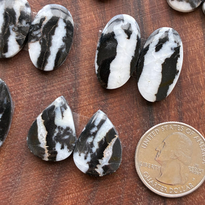 Zebra Jasper - Cabochon Pair - Oval - Teardrop