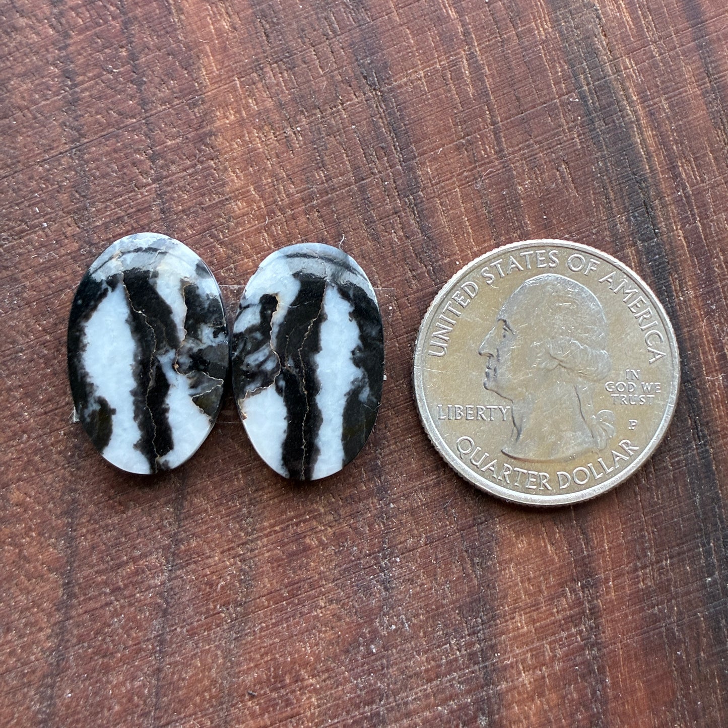 Zebra Jasper - Cabochon Pair - Oval - Teardrop