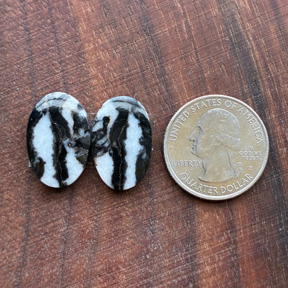 Zebra Jasper - Cabochon Pair - Oval - Teardrop
