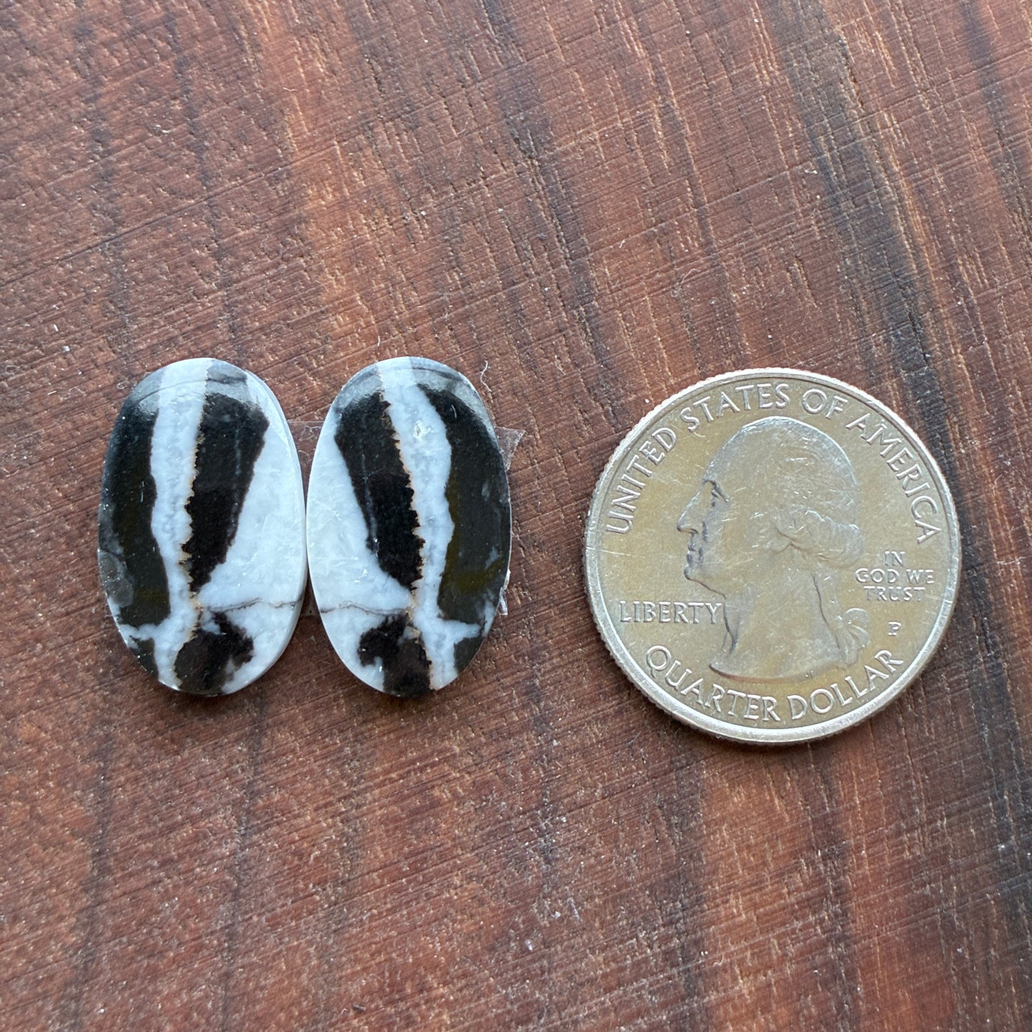 Zebra Jasper - Cabochon Pair - Oval - Teardrop