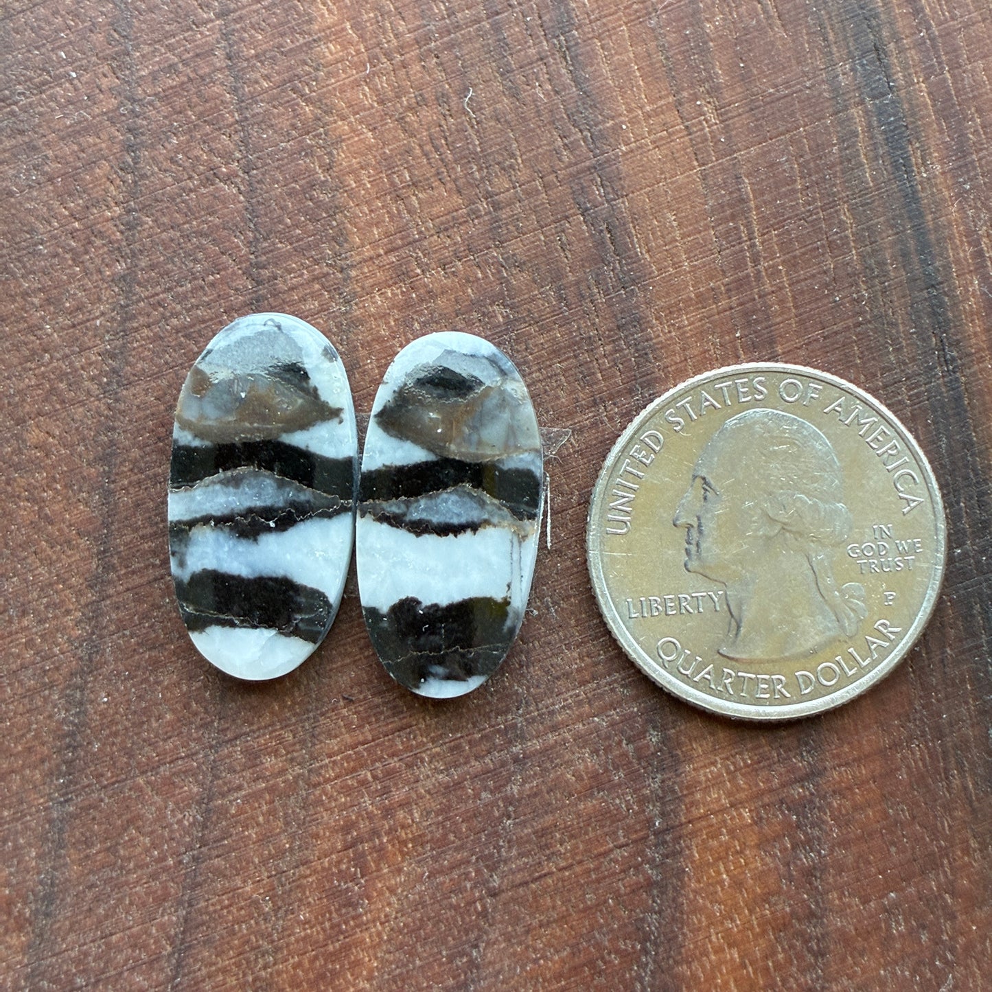 Zebra Jasper - Cabochon Pair - Oval - Teardrop