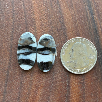 Zebra Jasper - Cabochon Pair - Oval - Teardrop