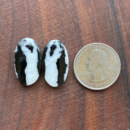 Zebra Jasper - Cabochon Pair - Oval - Teardrop
