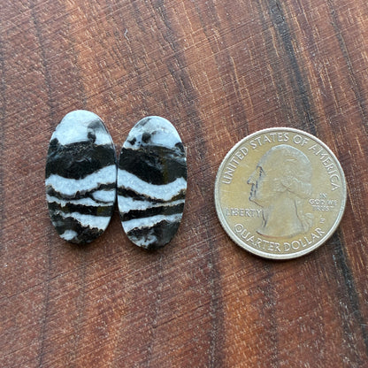 Zebra Jasper - Cabochon Pair - Oval - Teardrop