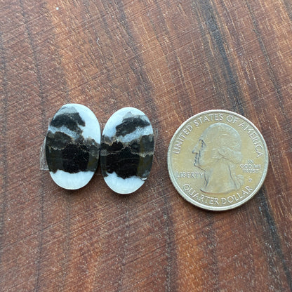 Zebra Jasper - Cabochon Pair - Oval - Teardrop