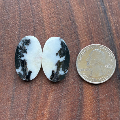 Zebra Jasper - Cabochon Pair - Oval - Teardrop