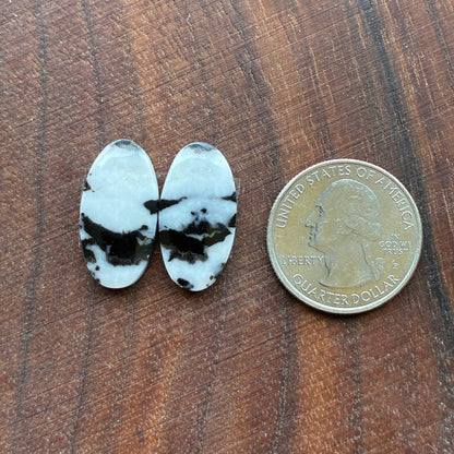 Zebra Jasper - Cabochon Pair - Oval - Teardrop