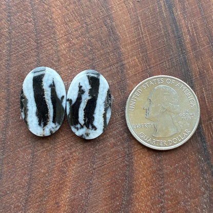 Zebra Jasper - Cabochon Pair - Oval - Teardrop