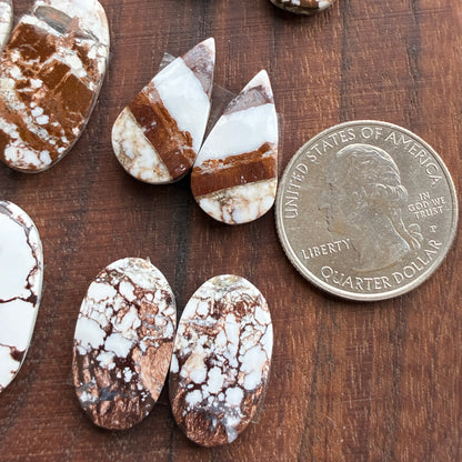 Wild Horse Jasper - Cabochon Pair - Oval - Teardrop