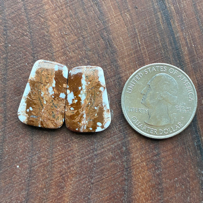 Wild Horse Jasper - Cabochon Pair - Oval - Teardrop