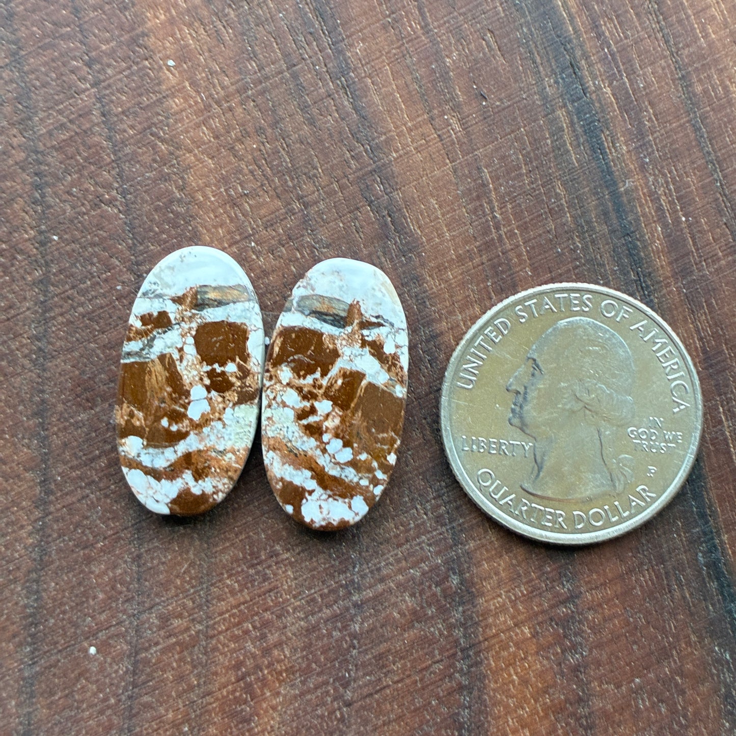 Wild Horse Jasper - Cabochon Pair - Oval - Teardrop