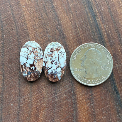 Wild Horse Jasper - Cabochon Pair - Oval - Teardrop