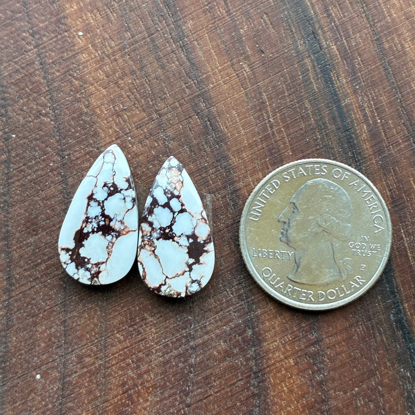 Wild Horse Jasper - Cabochon Pair - Oval - Teardrop