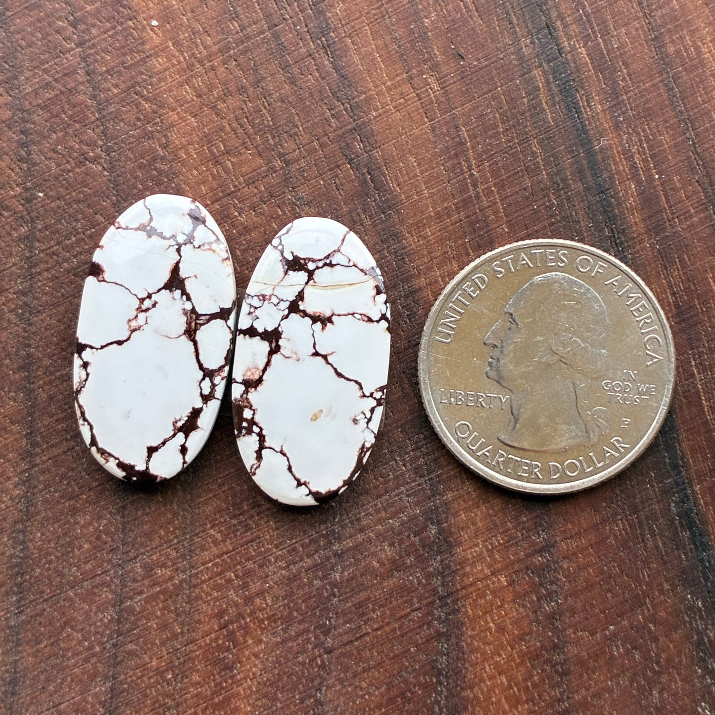 Wild Horse Jasper - Cabochon Pair - Oval - Teardrop