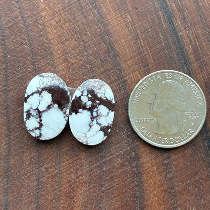 Wild Horse Jasper - Cabochon Pair - Oval - Teardrop