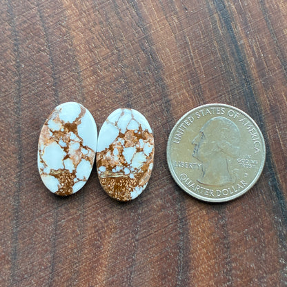 Wild Horse Jasper - Cabochon Pair - Oval - Teardrop
