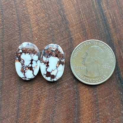 Wild Horse Jasper - Cabochon Pair - Oval - Teardrop