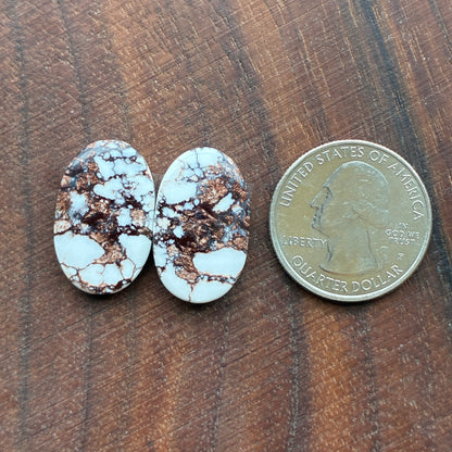 Wild Horse Jasper - Cabochon Pair - Oval - Teardrop