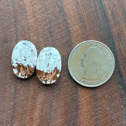 Wild Horse Jasper - Cabochon Pair - Oval - Teardrop