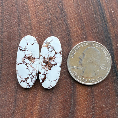Wild Horse Jasper - Cabochon Pair - Oval - Teardrop