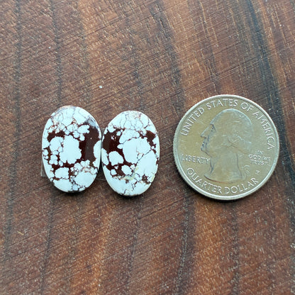 Wild Horse Jasper - Cabochon Pair - Oval - Teardrop
