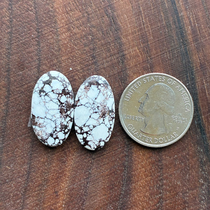 Wild Horse Jasper - Cabochon Pair - Oval - Teardrop