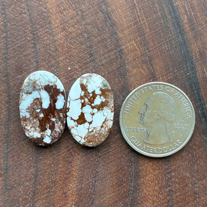 Wild Horse Jasper - Cabochon Pair - Oval - Teardrop