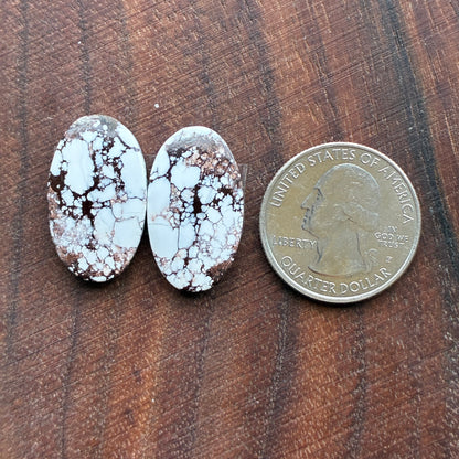 Wild Horse Jasper - Cabochon Pair - Oval - Teardrop