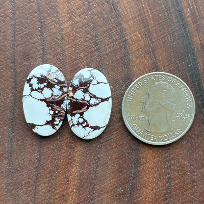 Wild Horse Jasper - Cabochon Pair - Oval - Teardrop