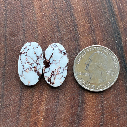 Wild Horse Jasper - Cabochon Pair - Oval - Teardrop