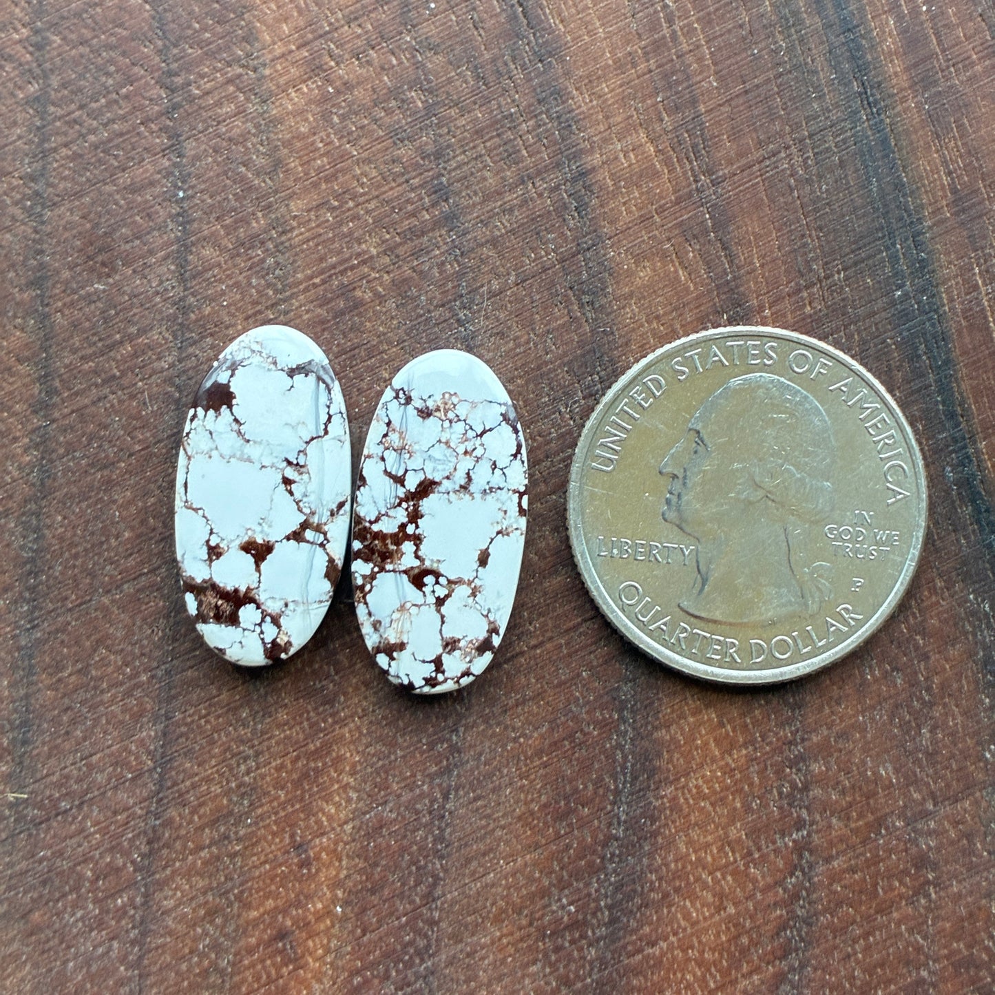 Wild Horse Jasper - Cabochon Pair - Oval - Teardrop