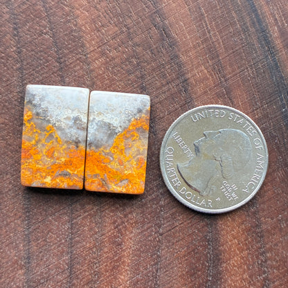 Bumblebee Jasper - Cabochon Pair - Rectangle - Oval - Teardrop