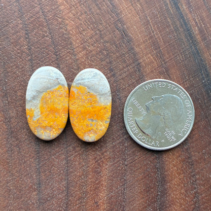 Bumblebee Jasper - Cabochon Pair - Rectangle - Oval - Teardrop