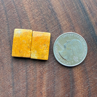 Bumblebee Jasper - Cabochon Pair - Rectangle - Oval - Teardrop