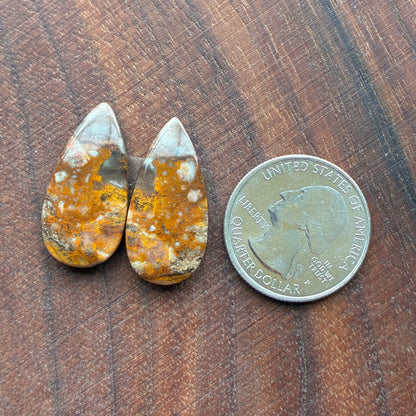 Bumblebee Jasper - Cabochon Pair - Rectangle - Oval - Teardrop