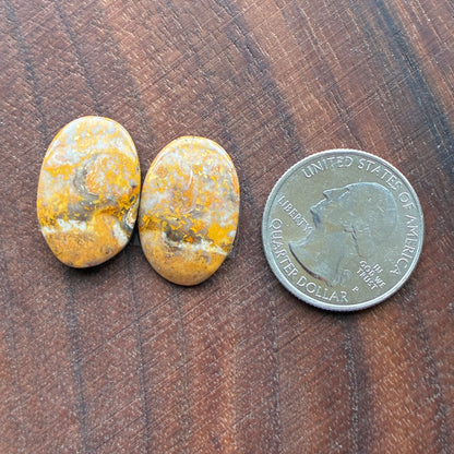 Bumblebee Jasper - Cabochon Pair - Rectangle - Oval - Teardrop