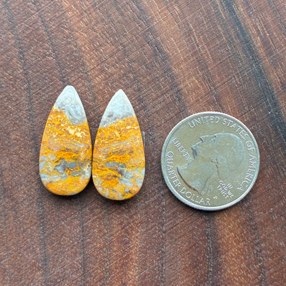 Bumblebee Jasper - Cabochon Pair - Rectangle - Oval - Teardrop