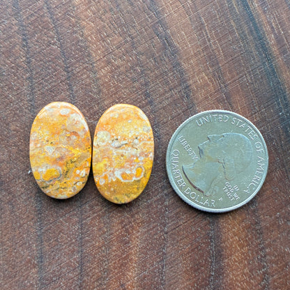 Bumblebee Jasper - Cabochon Pair - Rectangle - Oval - Teardrop