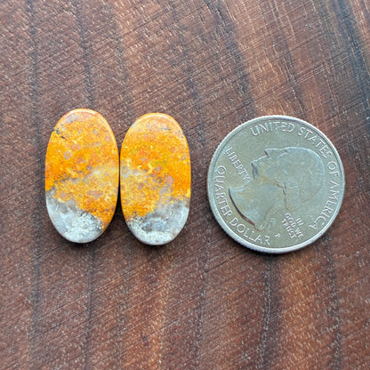 Bumblebee Jasper - Cabochon Pair - Rectangle - Oval - Teardrop