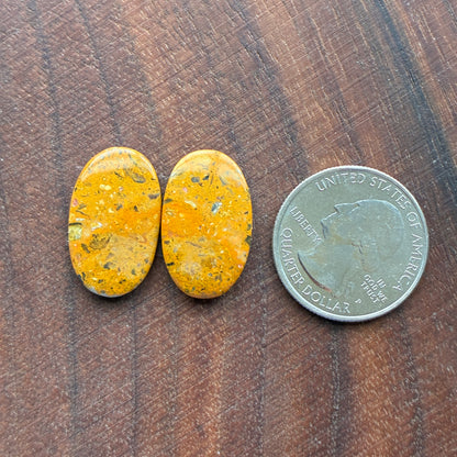 Bumblebee Jasper - Cabochon Pair - Rectangle - Oval - Teardrop