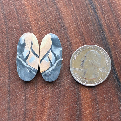Maligano Jasper - Cabochon Pair - Oval - Teardrop