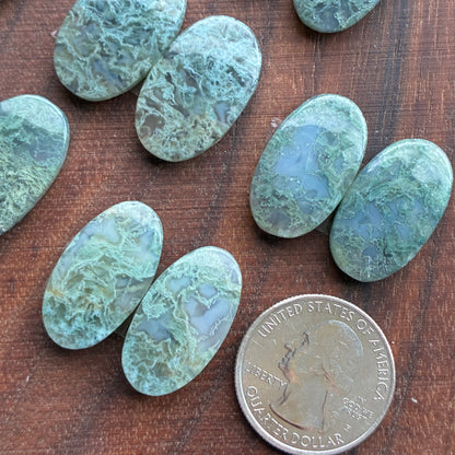 Moss Agate - Cabochon Pair - Oval - Teardrop