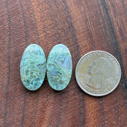 Moss Agate - Cabochon Pair - Oval - Teardrop