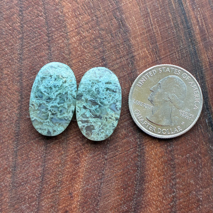 Moss Agate - Cabochon Pair - Oval - Teardrop