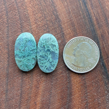 Moss Agate - Cabochon Pair - Oval - Teardrop