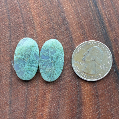 Moss Agate - Cabochon Pair - Oval - Teardrop