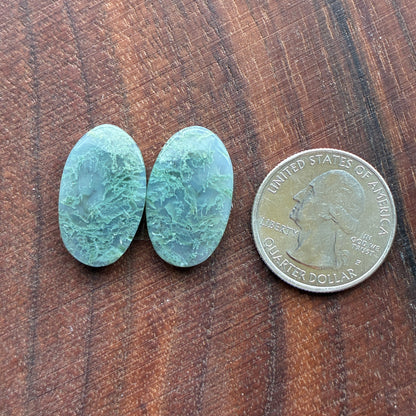 Moss Agate - Cabochon Pair - Oval - Teardrop