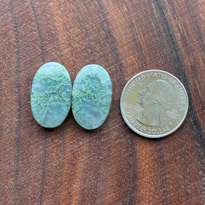Moss Agate - Cabochon Pair - Oval - Teardrop