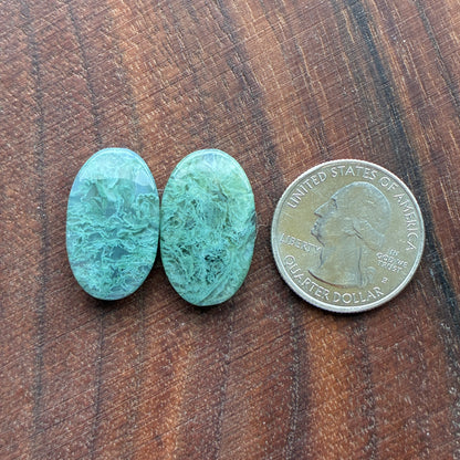 Moss Agate - Cabochon Pair - Oval - Teardrop